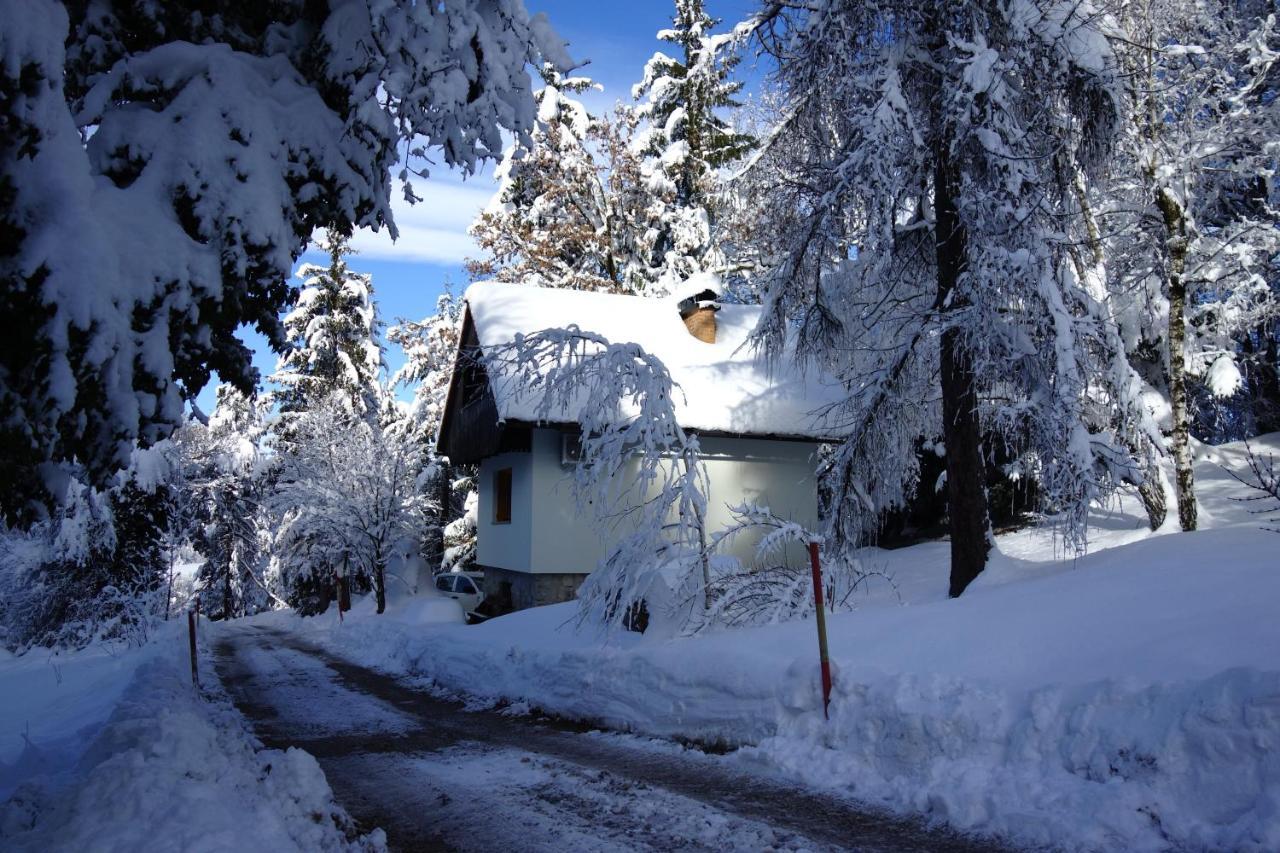 ブルフニカ Forest Houseヴィラ エクステリア 写真