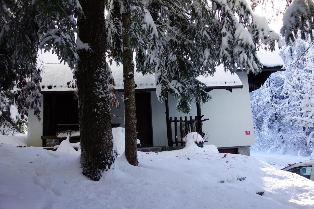 ブルフニカ Forest Houseヴィラ エクステリア 写真